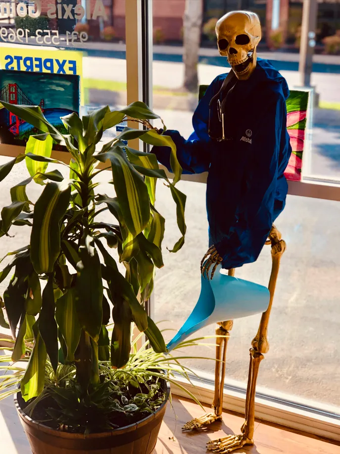A skeleton in a blue jacket watering a leafy office plant beside a sunny window